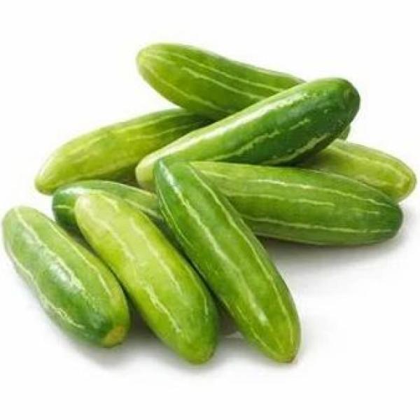 Ivy Gourd (Tindly)