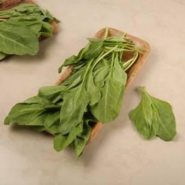 Palak (Spinach)