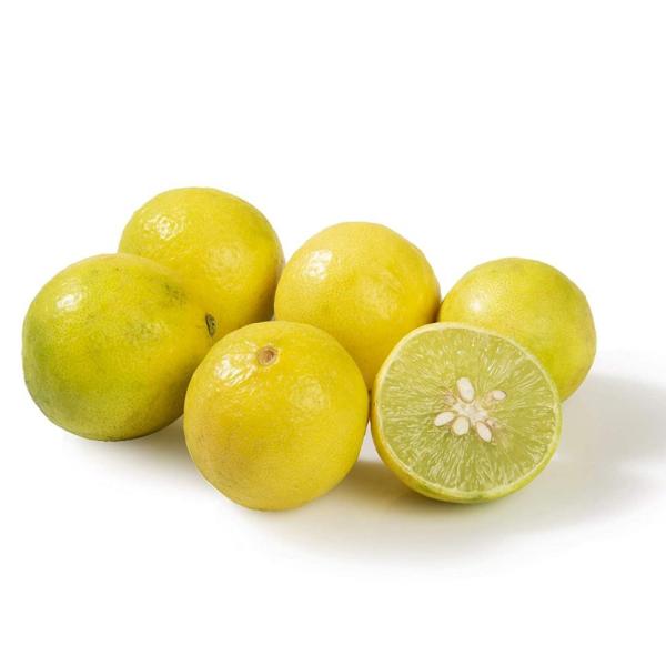 Lemon