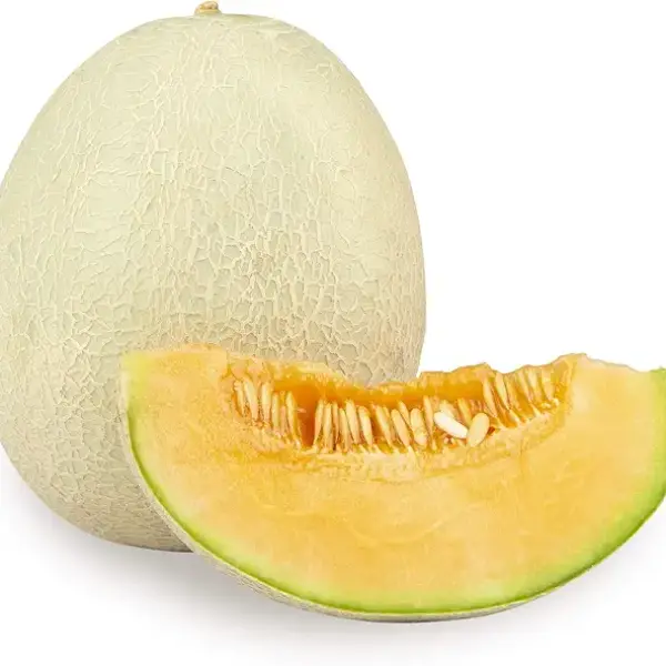 Muskmelon