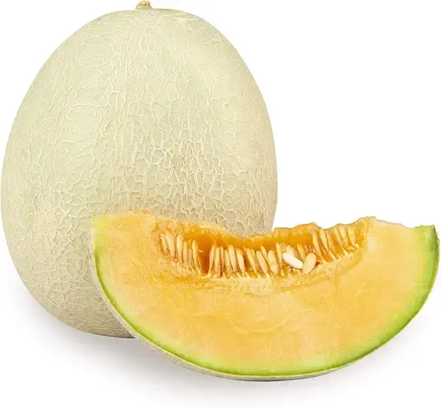 Muskmelon