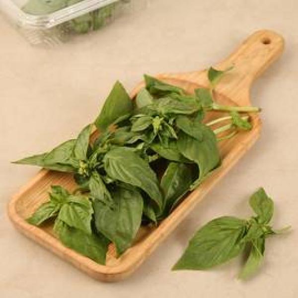 Basil Italian
