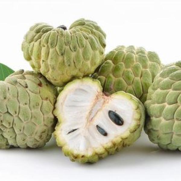 Custard Apple (Sitaphal)
