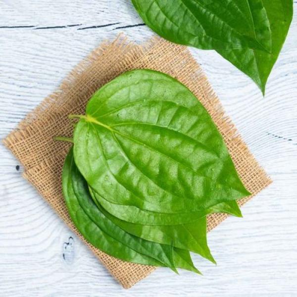 Betel Leaves (Paan)