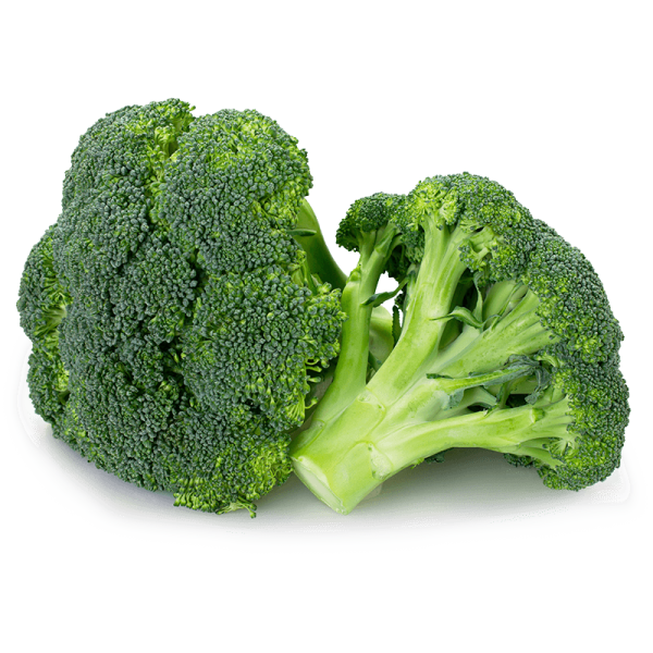 Broccoli