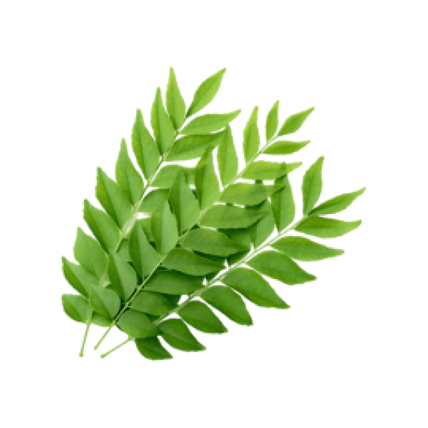 Curry Leaves