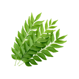 Curry Leaves