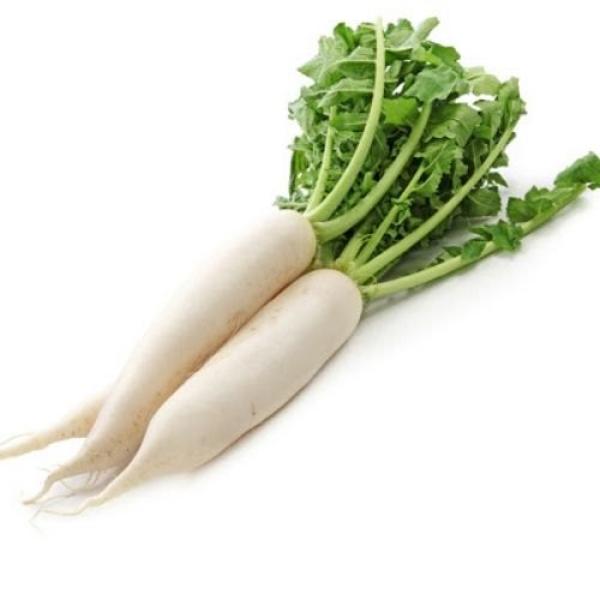 Radish White