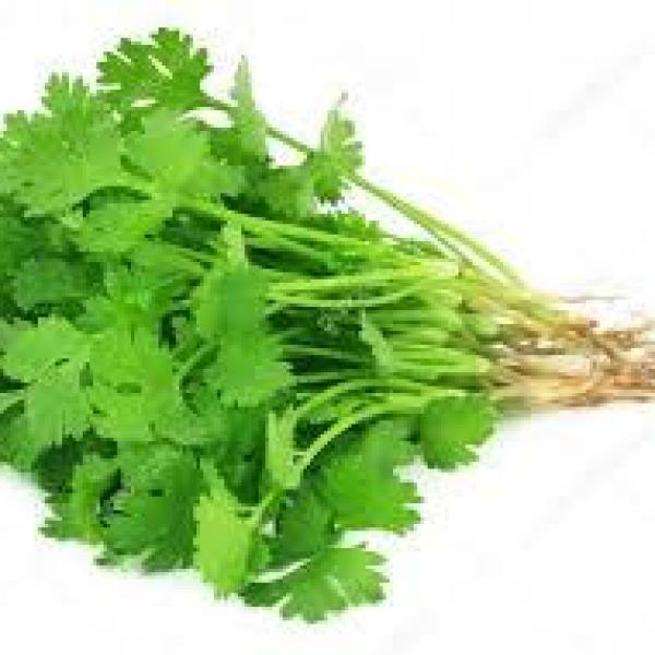 Coriander Leaves