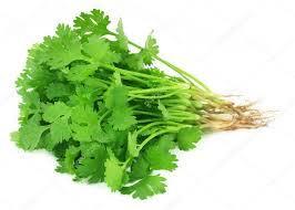 Coriander Leaves
