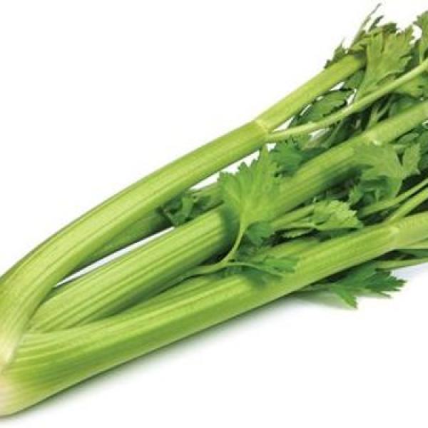 Celery