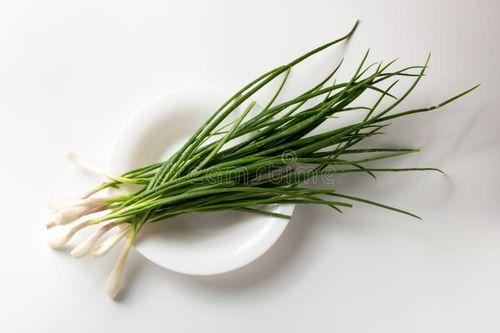 Spring Onion