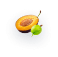Prakshiva<br>Grocery Store