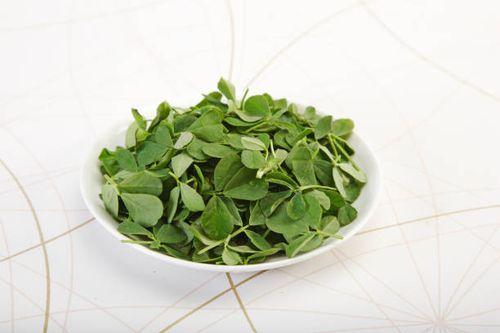 Methi (Fenugreek)