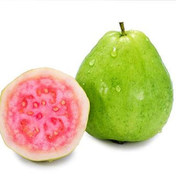 Guava