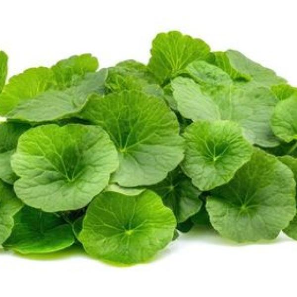 Brahmi Leaves