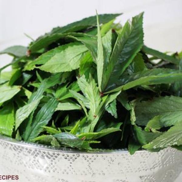 Gongura Leaves
