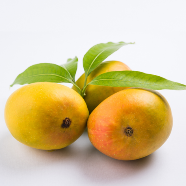 Mango - Alphonso